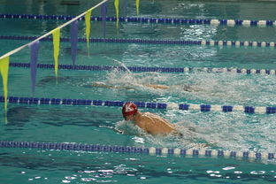 爱游戏app推荐-张雨霏自由泳赛段发力迅速，张雨霏自由泳实力